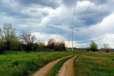 До 21 градусу тепла: якою буде погода в Україні 3 травня
