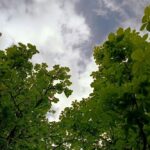 Погода в Україні 4
