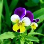 Погода в Україні 4