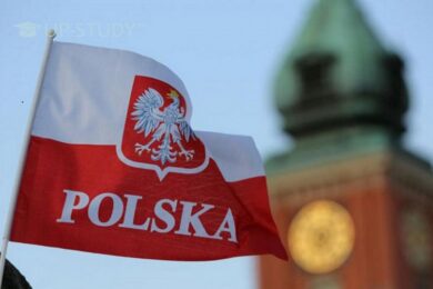 Безкоштовне вивчення польської мови у Рівному: відкрито реєстрацію для бажаючих