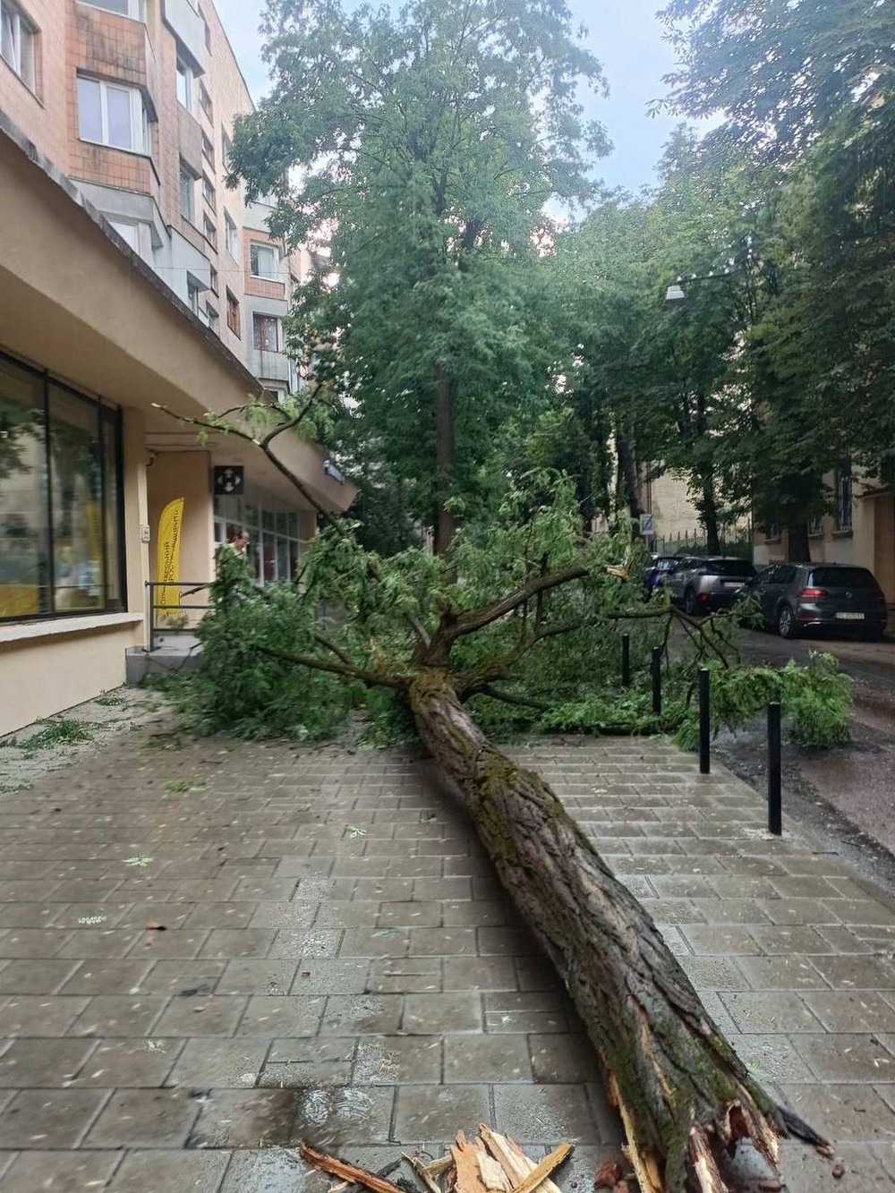Блискавка влучила у 6-річну дівчинку: негода у Львові сьогодні накоїла біди (фото, відео)