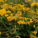погода в Україні 1 липня