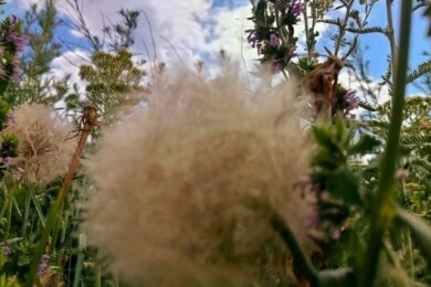 Очікуються короткочасні дощі з грозами: якою буде погода в Україні 30 червня