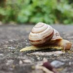 Короткочасні дощі, град і шквали: якою буде погода в Україні 24 червня 12 Погода в Україні