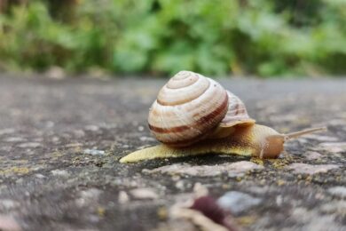 Короткочасні дощі, град і шквали: якою буде погода в Україні 24 червня 11 Погода в Україні