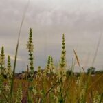 Погода в Україні 4