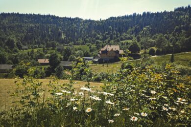 30 червня – яке сьогодні свято, прикмети і традиції, пам’ятні дати, іменини