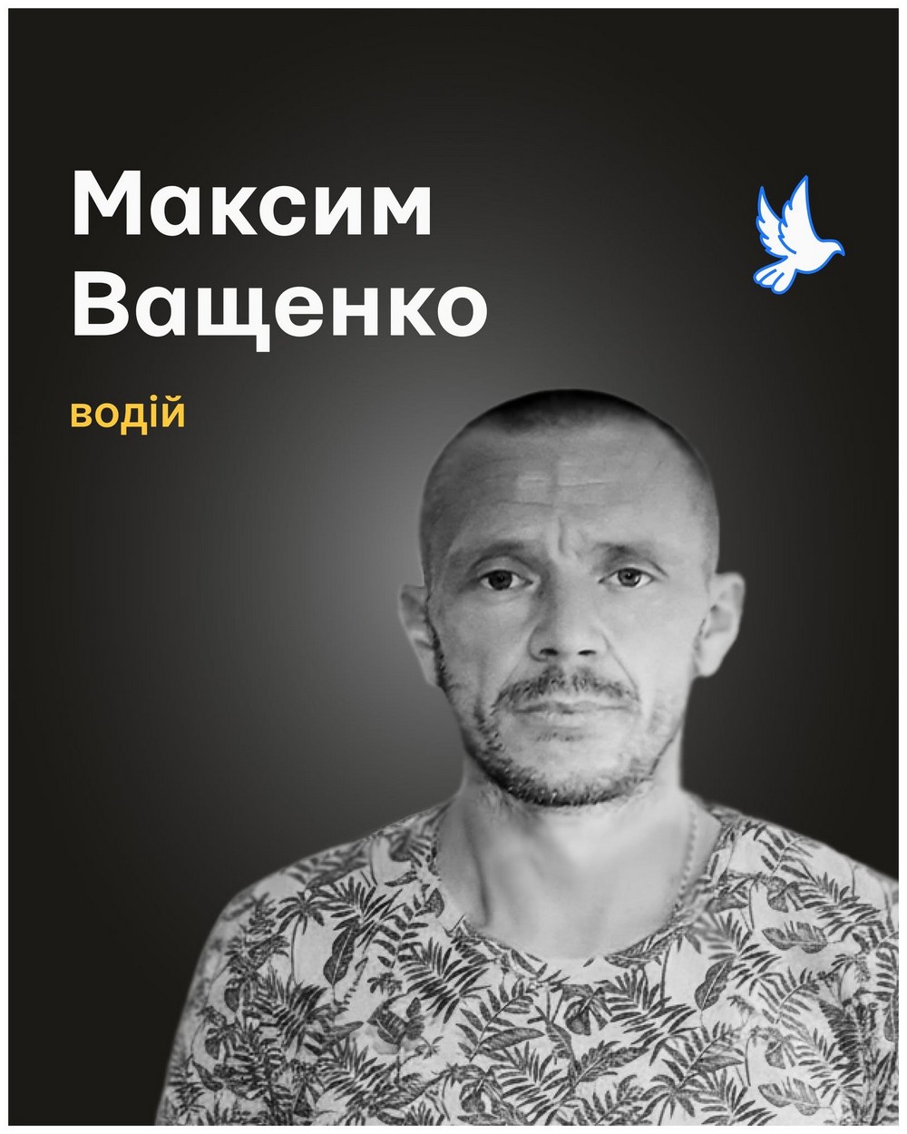 Максим Ващенко Максим Ващенко