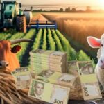 Грошова допомога аграріям у 4 областях надаватиметься благодійниками. Стартував прийом заявок. Розповідаємо про це.