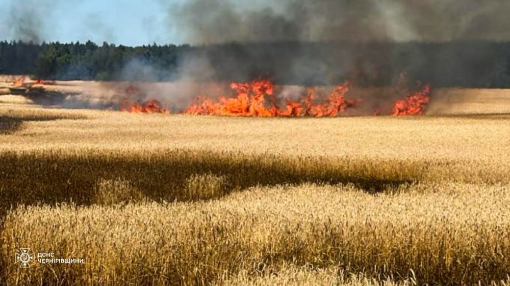 чернігівщина чернігівщина