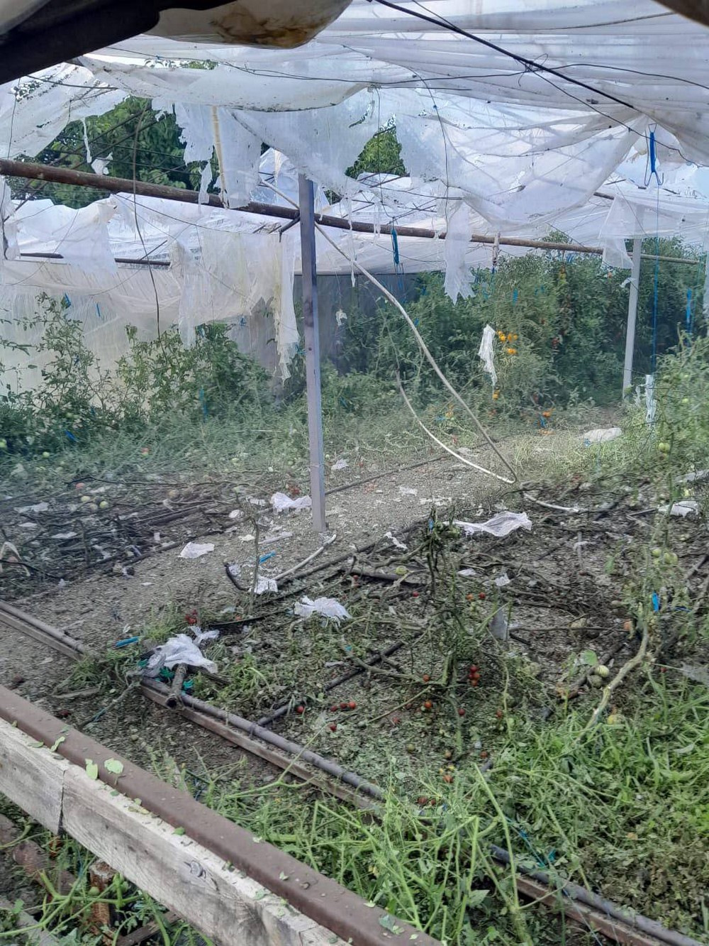 Дніпропетровщина 4 Дніпропетровщина 4