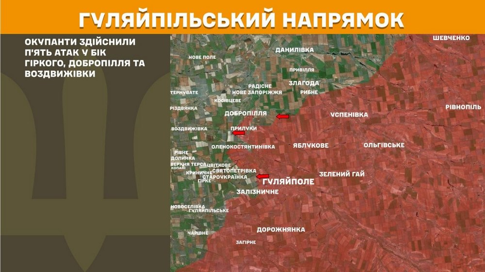 гуляйпільський гуляйпільський