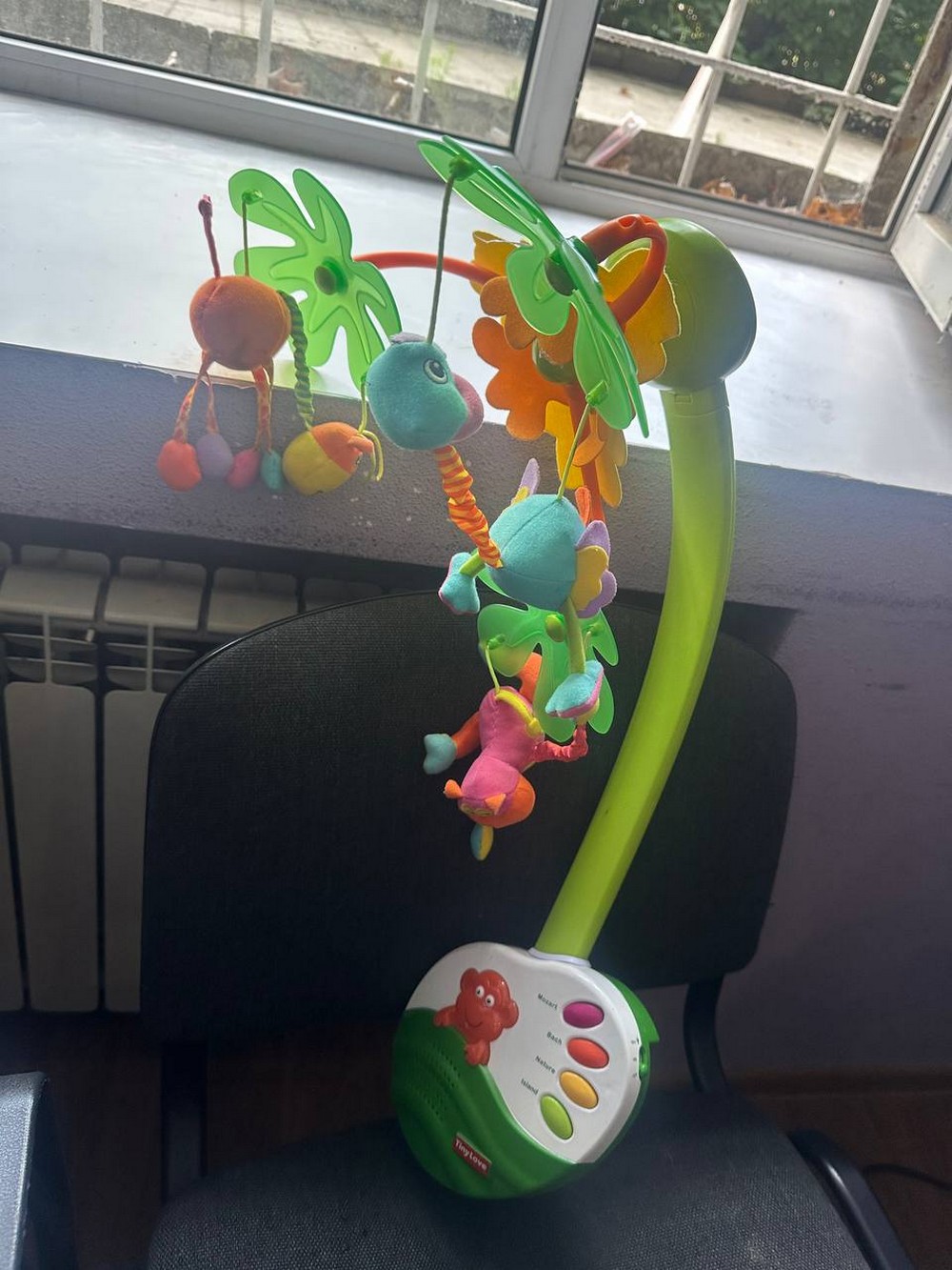 photo 2026 07 18 16 36 40