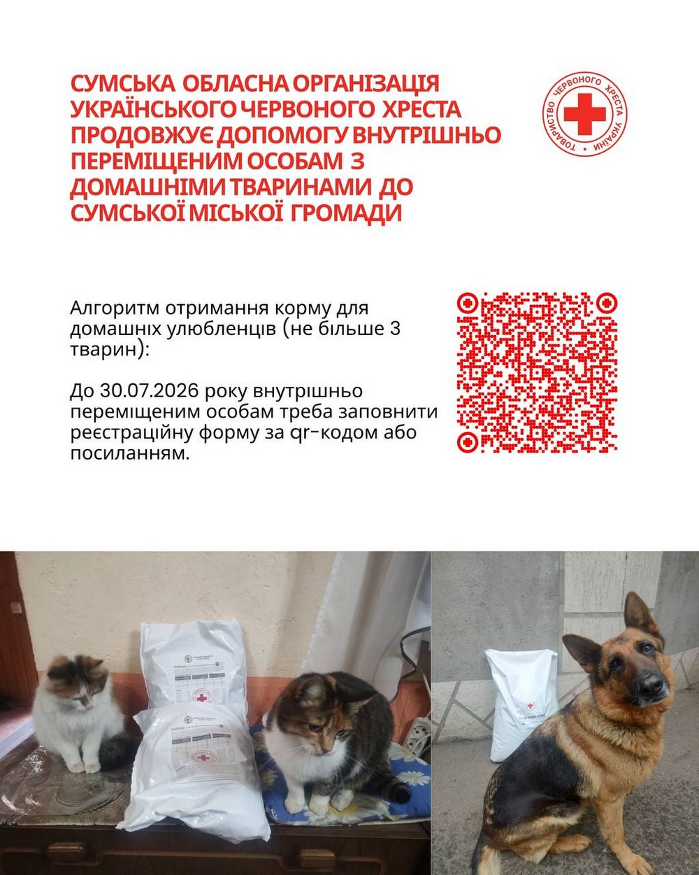 Безкоштовно корм для тварин у Сумах – хто і як може отримати