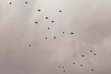 Попередили про небезпечні метеорологічні явища:  якою буде погода в Україні 28 липня