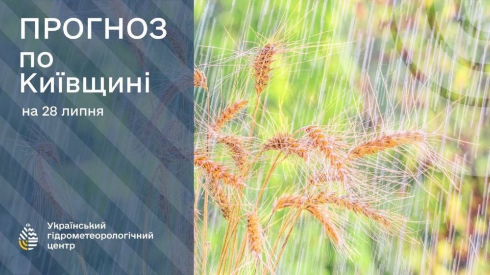 погода в Україні 28 липня 3