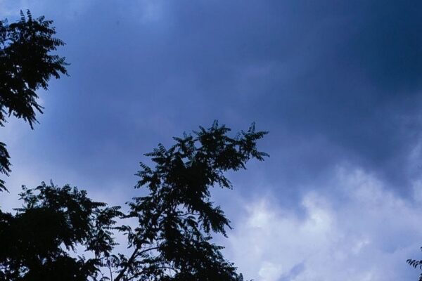 погода в Україні 29 липня