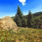 6 липня – яке сьогодні свято, прикмети і традиції, пам’ятні дати, іменини