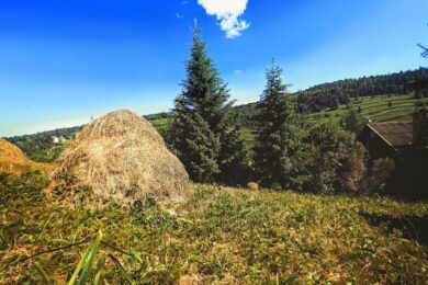 6 липня – яке сьогодні свято, прикмети і традиції, пам’ятні дати, іменини