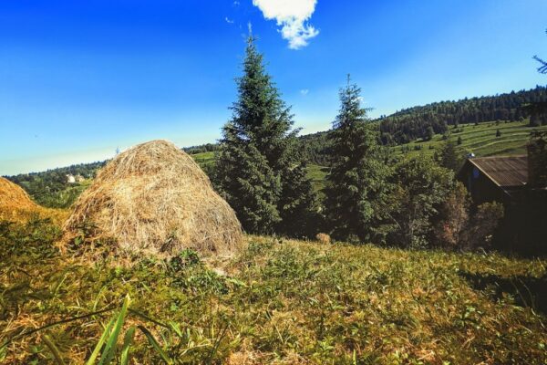6 липня – яке сьогодні свято, прикмети і традиції, пам’ятні дати, іменини