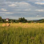 13 липня – яке сьогодні свято, прикмети і традиції, пам’ятні дати, іменини