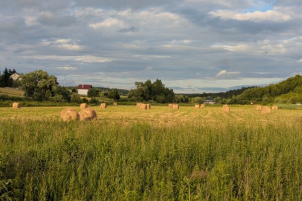 13 липня – яке сьогодні свято, прикмети і традиції, пам’ятні дати, іменини