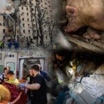Багато вбитих, близько сотні поранених людей, загиблі тварини, знищено склади відомого магазину і “Нової пошти”: масована нічна повітряна атака 2 липня – все, що відомо (фото, відео)