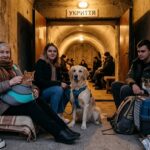 Тварини в укриттях: чи дозволено брати улюбленців до сховища
