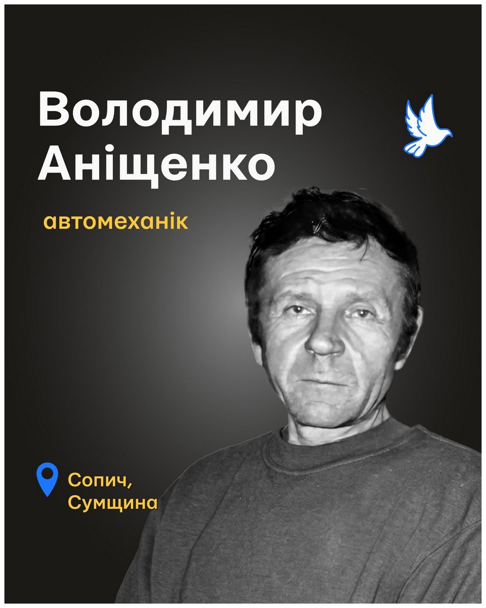 Володимир Аніщенко Володимир Аніщенко