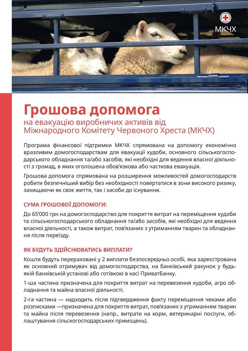 Грошова допомога від Червоного Хреста – хто і на що може отримати