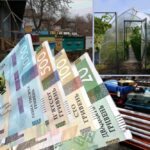Грошова допомога у трьох областях на власну справу – як подати заявку