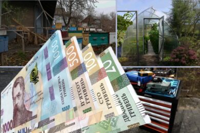 Грошова допомога у трьох областях на власну справу – як подати заявку