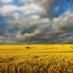 24 серпня – яке сьогодні свято, прикмети і традиції, пам’ятні дати, іменини