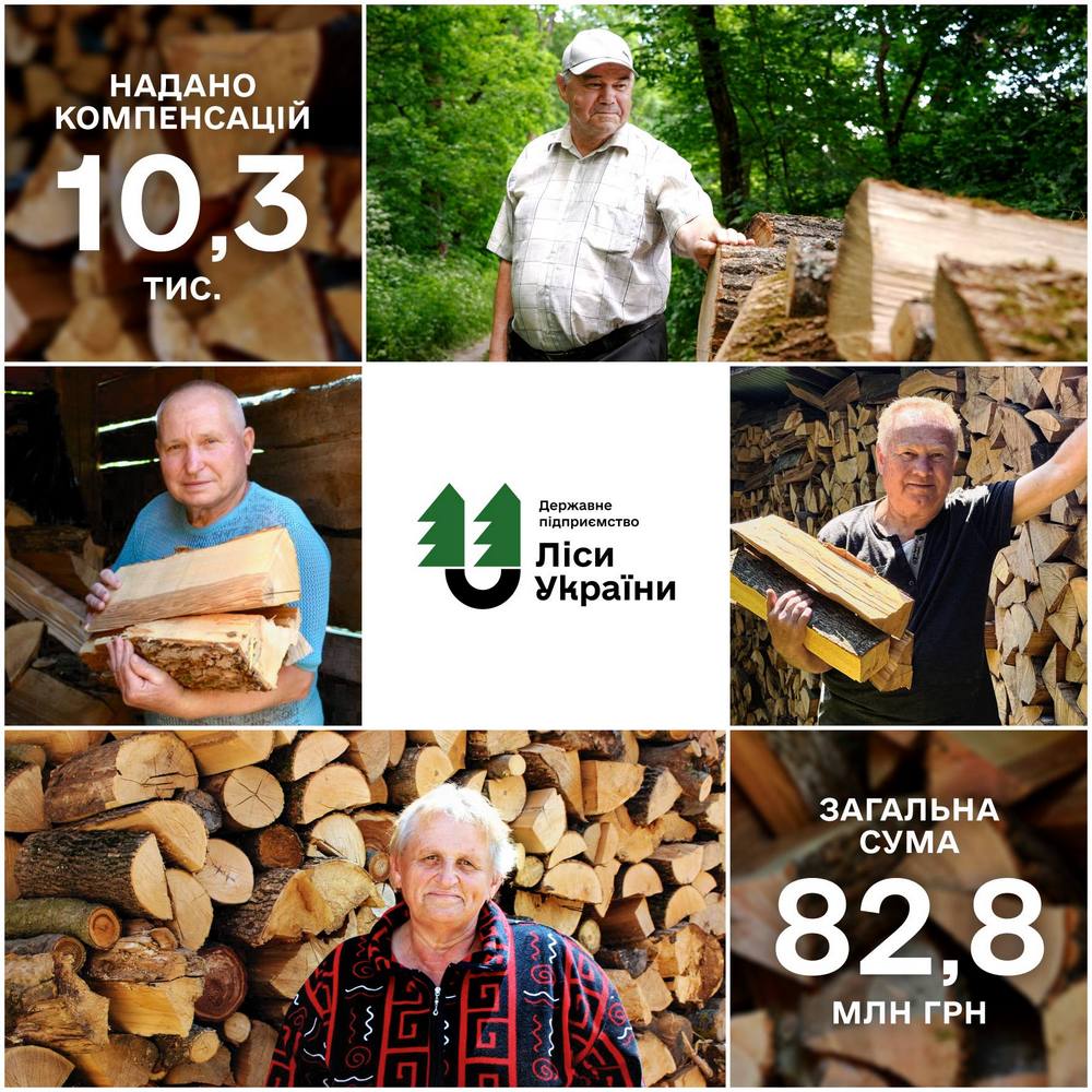 Компенсація на дрова – хто може отримати 8 000 гривень