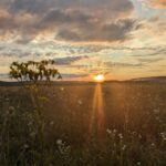 7 жовтня – яке сьогодні свято, прикмети і традиції, пам’ятні дати, іменини