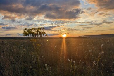 17 жовтня – яке сьогодні свято, прикмети і традиції, пам’ятні дати, іменини