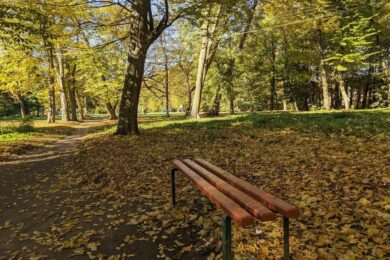 22 жовтня – яке сьогодні свято, прикмети і традиції, пам’ятні дати, іменини