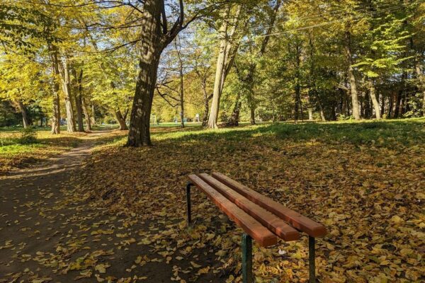 22 жовтня – яке сьогодні свято, прикмети і традиції, пам’ятні дати, іменини