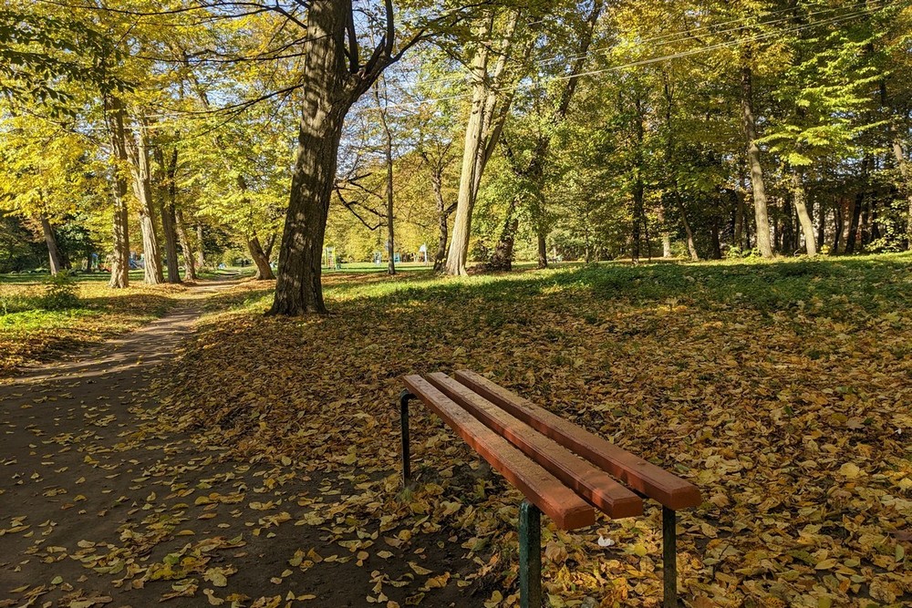 22 жовтня – яке сьогодні свято, прикмети і традиції, пам’ятні дати, іменини 1 22 жовтня – яке сьогодні свято, прикмети і традиції, пам’ятні дати, іменини