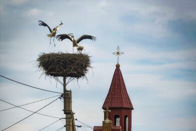 11 жовтня – яке сьогодні свято, прикмети і традиції, пам’ятні дати, іменини