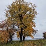 30 жовтня – яке сьогодні свято, прикмети і традиції, пам’ятні дати, іменини