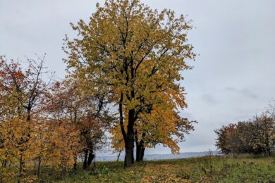 30 жовтня – яке сьогодні свято, прикмети і традиції, пам’ятні дати, іменини
