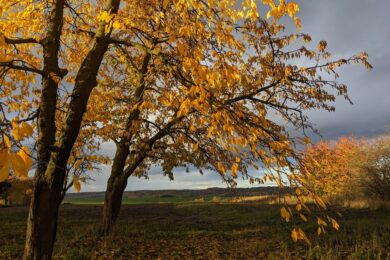 1 листопада – яке сьогодні свято, прикмети і традиції, пам’ятні дати, іменини